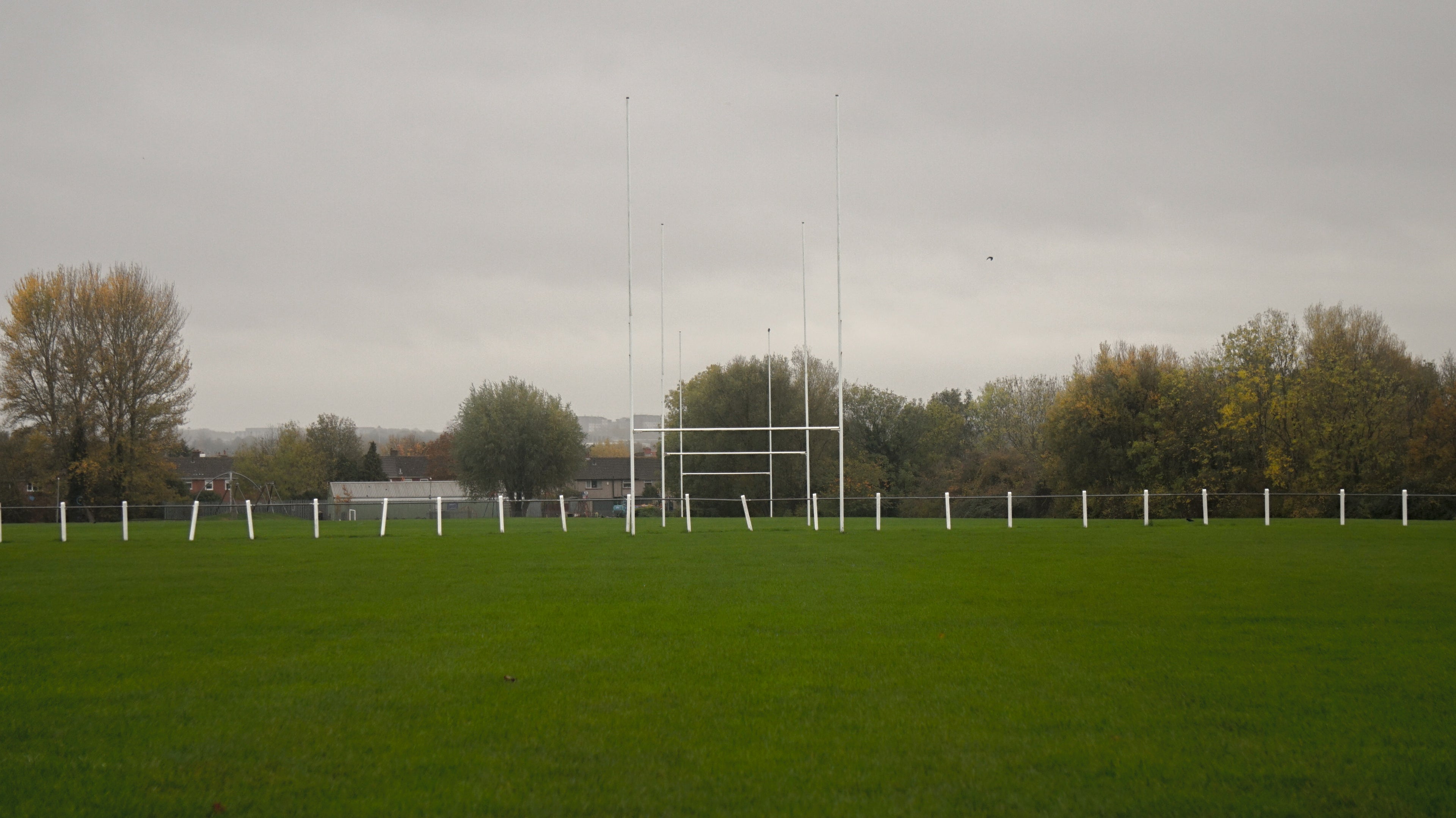 Rugby Pitch